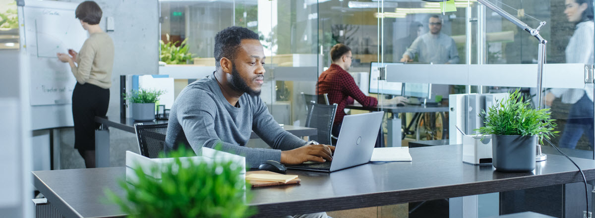 Busy office - man at laptop