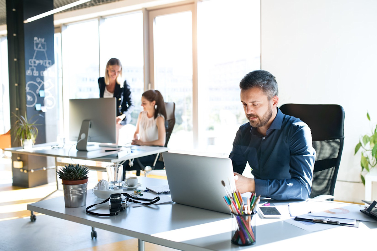 3 co-workers at work in an office with bright sunlight coming through the windows